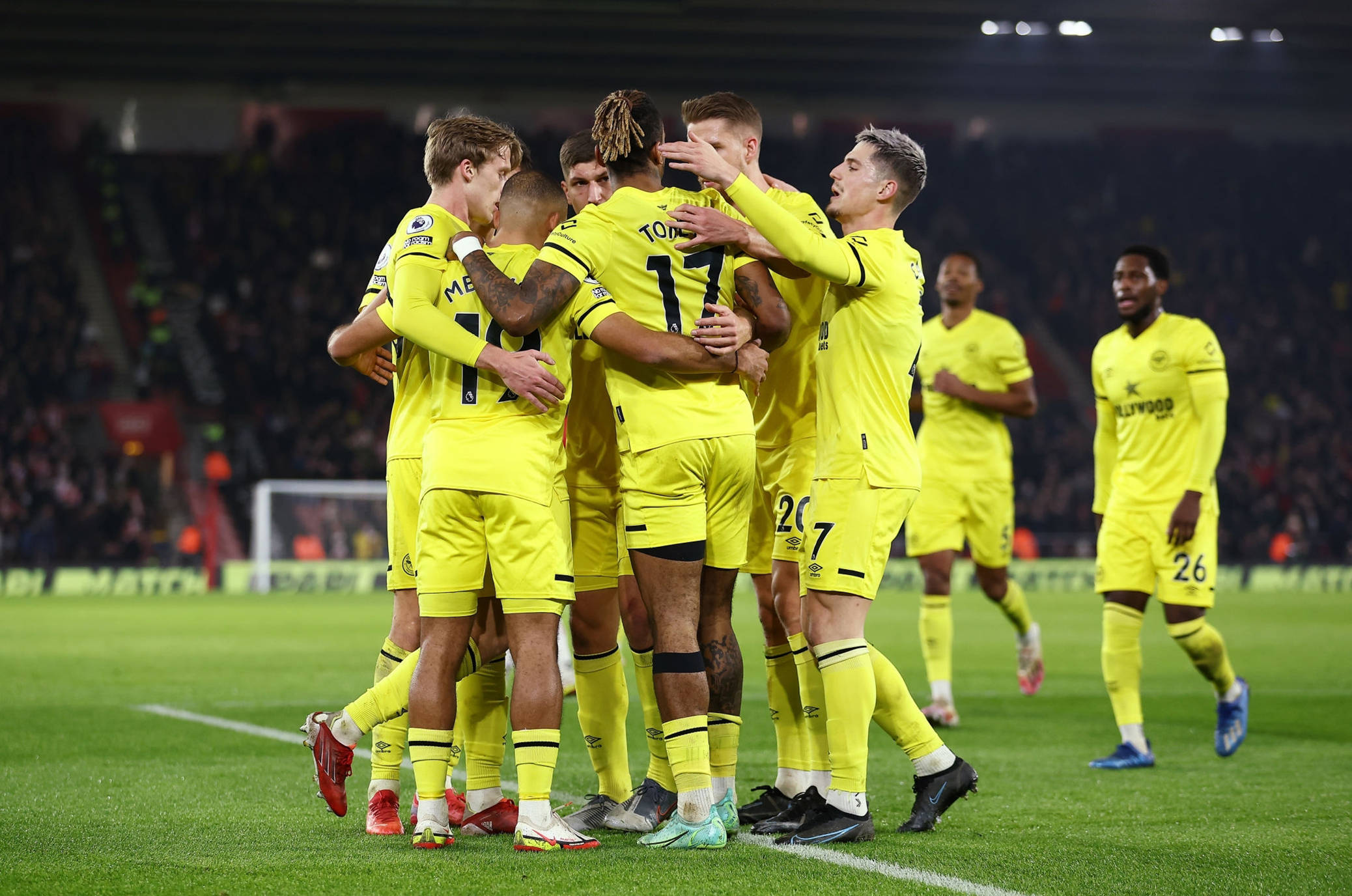 手如林的美 手如林的美